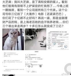 大芝麻爆料铲屎官视频大全,铲屎官视频大全趣味盘点  第2张